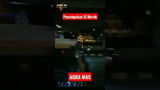 Penampakan Bus Agra Mas#shorts