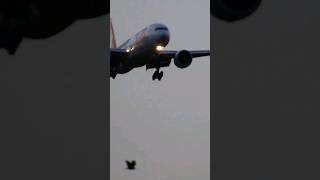 Swiss Boeing 777 landing at Zurich Airport