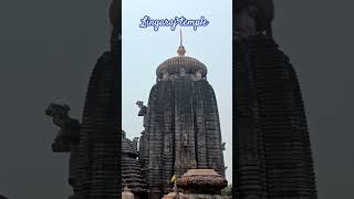 Lingaraj temple #lingrajtemple #mahadev #bholenath #thevlogvoyager