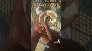 How to diagnose and install a Pentair 320 in-line chlorine feeder check valve