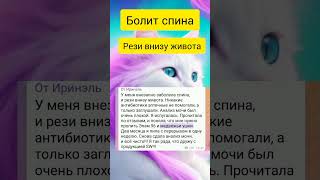 Болит спина. Рези внизу живота. Медвежьи ушки и брусника #сибирскоездоровье #здоровье