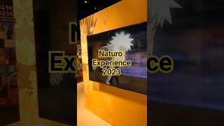 Experience The Power Of Naruto Exhibition 2023. #japan #shorts #anime #naruto