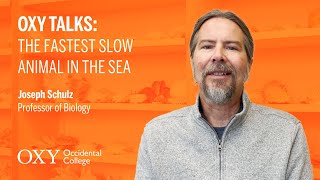 Oxy Talks: The Fastest Slow Animal in the Sea