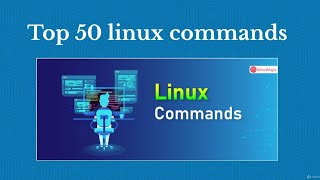 Top 50 Linux Commands You Must Know as a Regular User || CE