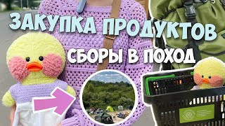 СОБИРАЮ ВЕЩИ И ЕДУ В ПОХОД!🎒Закупка продуктов! Милка помогает🙃