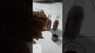 Buat bibit F1 & F2 jamur tiram menggunakan botol kaca dan plastik. Semangat ...