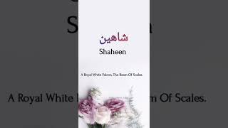 Shaheen name meaning #namemeaning #nameskidiary #nameart #namestatus