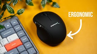 SABRENT Ergonomic Rechargeable Mouse With 4D Function | Best Budget Mouse!