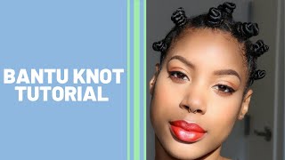 Bantu Knot Out [Wet Hair] Tutorial | Natural Hair Woes