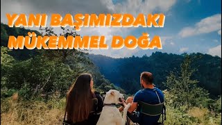 ÖMERLİ BARAJINDA ÇAKALLAR İLE KARAVAN KAMPI 🦊