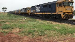 Qaud 81s work 9837 in New years day through Amaroo