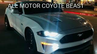 ALL MOTOR 2018 mustang gt vs C7 Procharged/Headers/Meth 700+