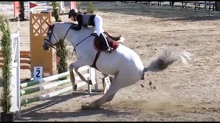 Horses, Ponies and Fails Compilation 2020 😅🐴 [Funny Pets]