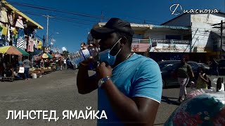 Нетуристическая Ямайка, тёплая зима, низкая статистика и дансхолл! 🇯🇲