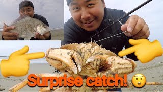 California North Coast Surf Perch Fishing (Surprise Catch Too!)