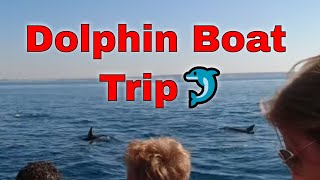 Dolphin Boat Trip🐬 || Praia da Rocha Algarve