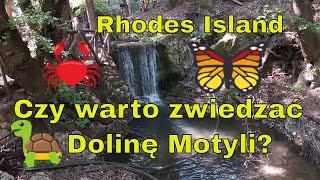 Rhodos - najpiękniejsze miejsca na Rodos - Dolina Motyli - Czy warto zwiedzać Dolinę Motyli?