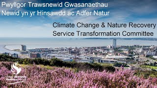 Swansea Council - Climate Change & Nature Recovery Service Transformation Committee  15 July 2024