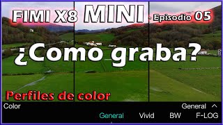 FIMI X8 MINI - ¿Como graba? y perfiles de color - Episodio 05