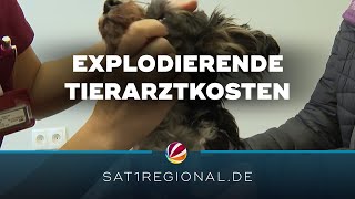 Explodierende Tierarztkosten belasten viele Tierhalter