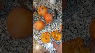 Kaki persimmons