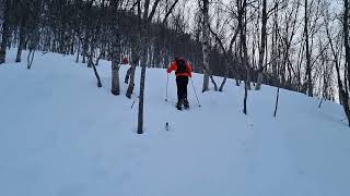 Snowshoeing