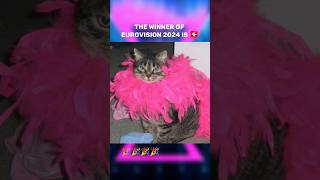 CAT-OVISION 2024 WINNER 🇨🇭🎉 #eurovision2024