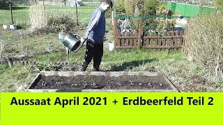 Aussaat April 2021 Erdbeerfeld selbstgebaut teil 2