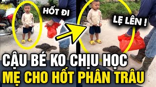 Mẹ nói không học thì 'ĐI HỐT PHÂN TRÂU', cậu bé không tin cho đến khi THÀNH SỰ THẬT | Tin 3 Phút