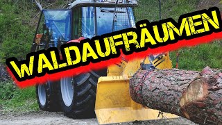 🌲 🌳 Forsttechnik/Waldarbeit 🌲 🌳 Schadholz aufräumen geht weiter... 🤘🚜