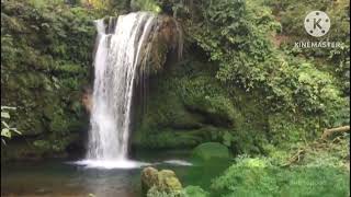 waterfall in Nainital Corbett National Park