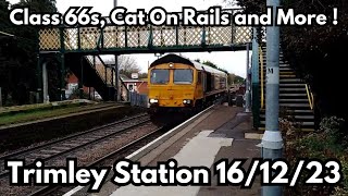 Trains at Trimley Station 16/12/23 | Class 66's, Cat On the rails and More #trimley #2023 #class66