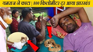 UP से झारखण्ड आया मरीज़ | यमराज ने काटा 🐍😱|  हालत था गंभीर  | Bapi Da Snake Expert