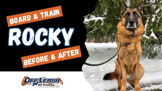 German Shepherd, 3y/o, "Rocky" | Incredible GSD Obedience Training Spokane