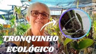 🟣 COMO FAZER TRONQUINHO ECOLÓGICO COM TELA PLÁSTICA PARA ORQUÍDEAS