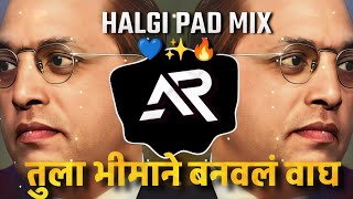 Tula Bhiman Banavla Wagh DJ - Tula Bhiman Banavla Wagh DJ Song | Jay Bhim Song |  DJ AARYA | Halgi