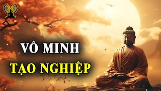 Vô minh chi phối tâm trí của chúng sinh. Vì vô minh nên tạo nghiệp - Lời Phật dạy