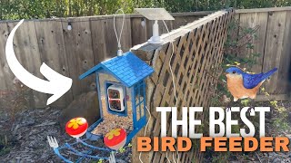 AUXCO 4K Bird Feeder Camera Review!