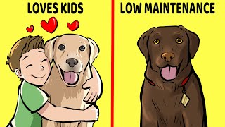 10 Best Dog Breeds For Kids and Families