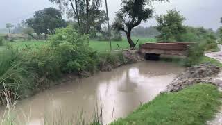 Barish me ghoom aaye || Beautiful view,, kheto ki fasal || talab ke phool || @YouTube