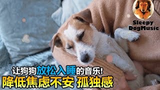 🐶【让狗狗放松入睡的音乐! 降低焦虑不安 孤独感】8小时让狗狗深度放松的音乐🐶小狗安眠音乐 宠物疗愈音乐  🎵🎶  放松毛孩子的心情，降低焦虑和紧张情绪  放松你的狗狗  睡眠音乐 安抚放松你的狗狗