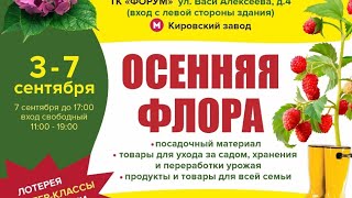 Что привезем на ярмарку с 3-7 сентября. Приходите, чтобы купить новую радость для своего сада!!!😉