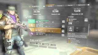 The Division my DPS build