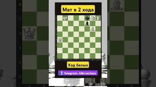 Telegram: Albinachess #chess #chorts #шахматы