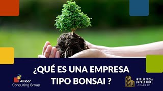 ¿Qué es una empresa tipo Bonsai? ¡Averígualo!