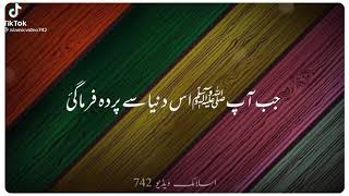 حضورعلیہ السّلام کی کتنی بیویاں تھیں؟ جانیے اس وڈیو میں #HafizSaadRizvi #TLP #Subscribe #IslamicView