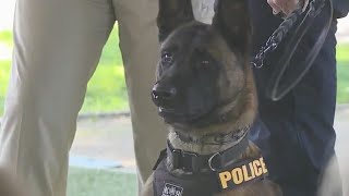 CHP hosts graduation ceremony for new K9 officers