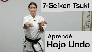 Uechi Ryu Hojo Undo - Seiken Tsuki