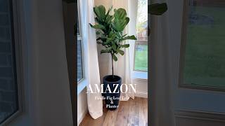 Amazon Fiddle Leaf Fig Tree and Planter #homemaking #homedecor #homestylinginspo #interiordesign