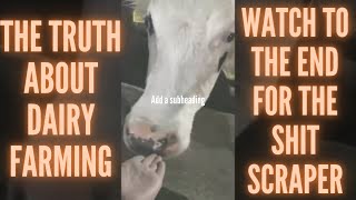 Wait For The SHIT Scraper (Dairy Farming Reality) 10 😮💩 #Shorts